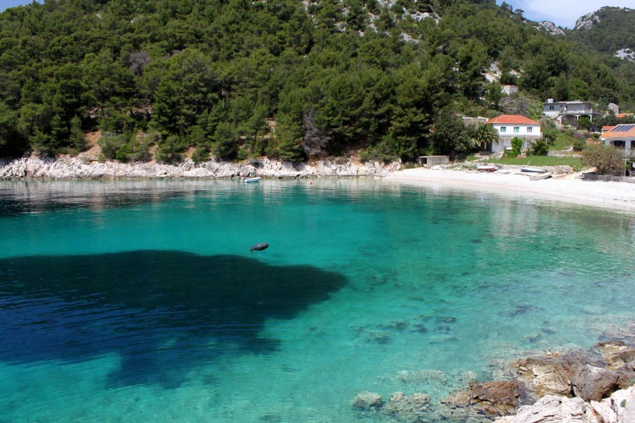 Seaside secluded apartments Cove Skozanje, Hvar - 14899 Gdinj Buitenkant foto